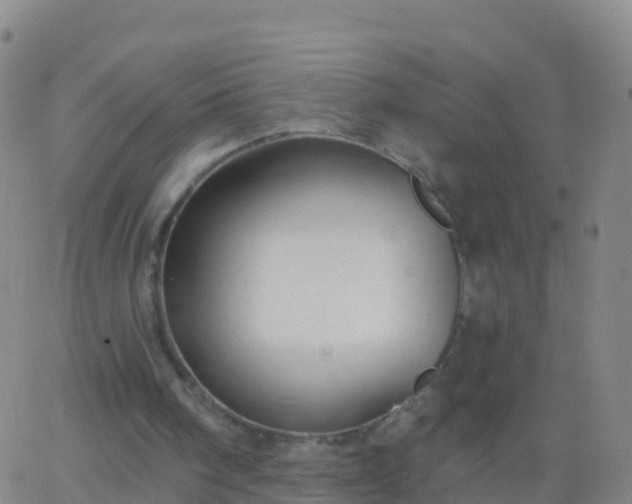 X0000063530098200601271911