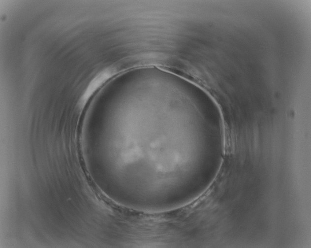 X0000063530099200601271911