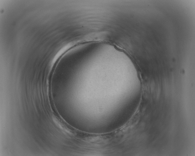 X0000063530100200601271911