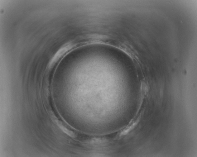 X0000063530101200601271911