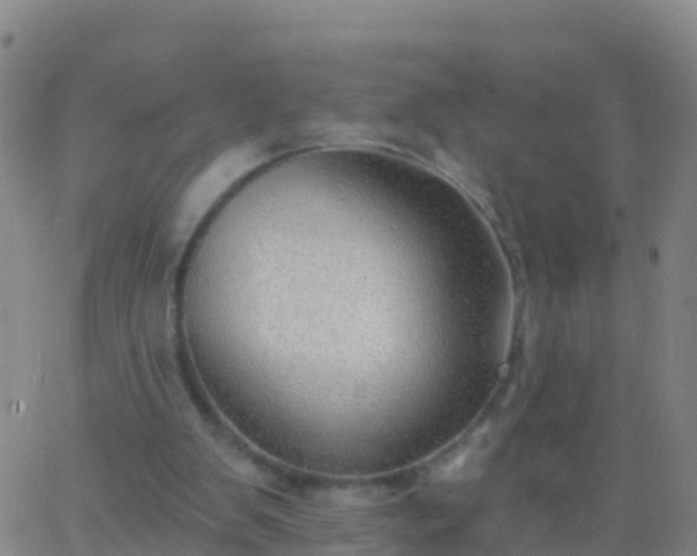 X0000063530103200601271911