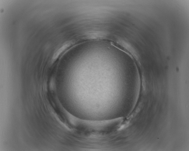 X0000063530105200601271911