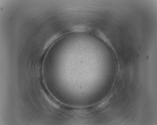 X0000063530106200601271911