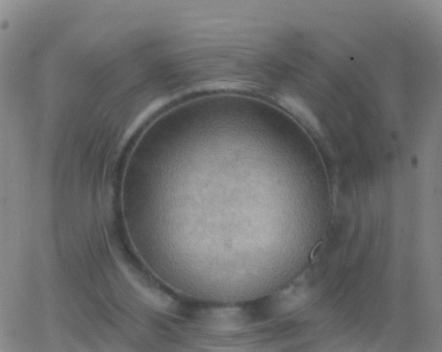 X0000063530108200601271911