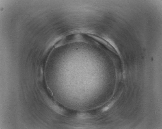 X0000063530109200601271911