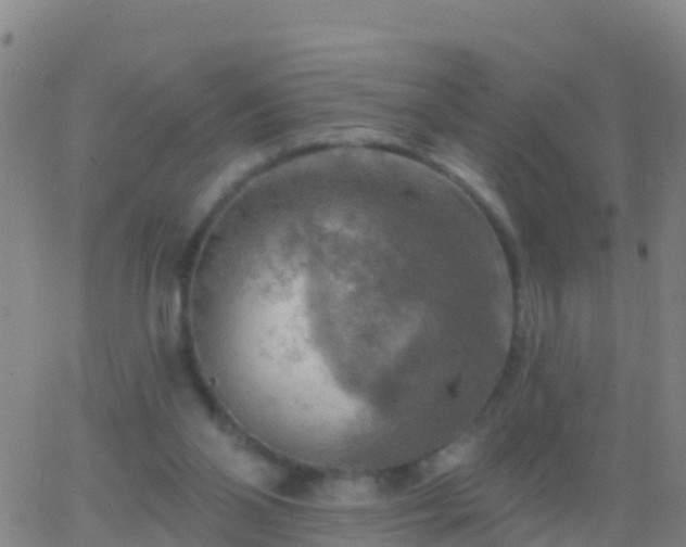 X0000063530110200601271911