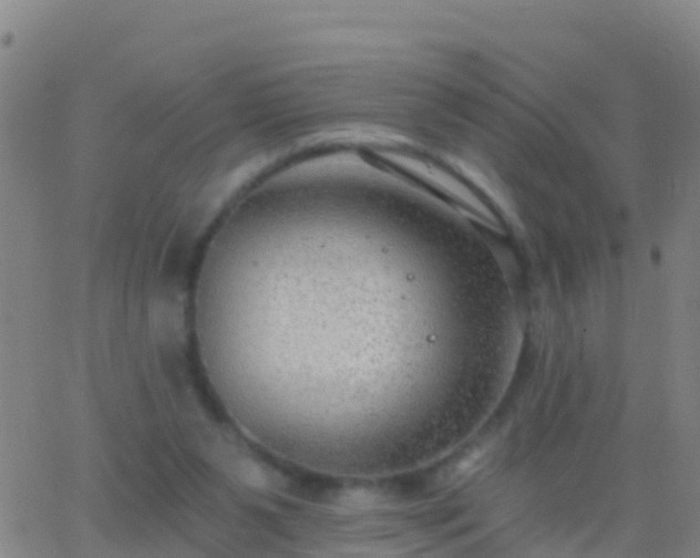 X0000063530111200601271911