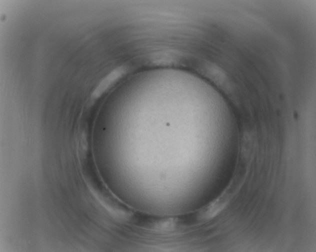 X0000063530116200601271911