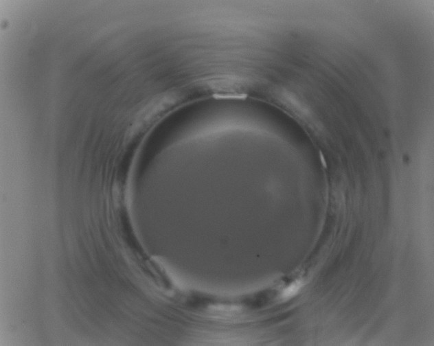 X0000063530117200601271911