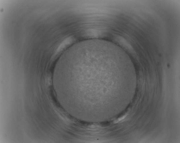 X0000063530119200601271911