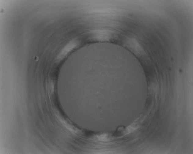 X0000063530120200601271911