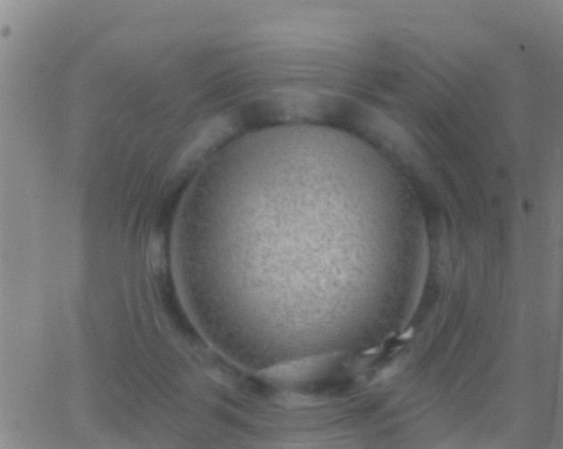 X0000063530123200601271911