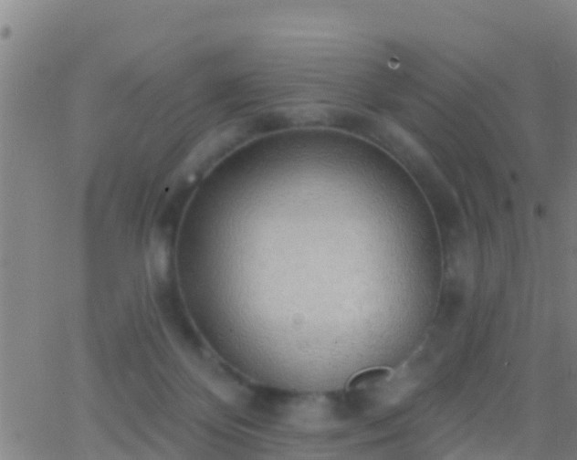 X0000063530124200601271911