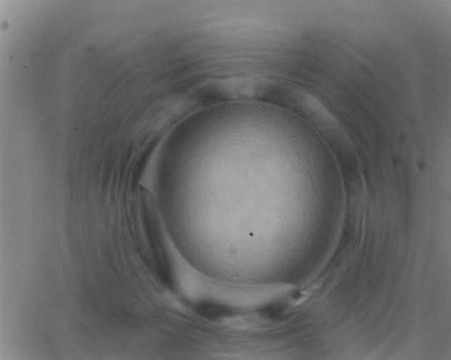 X0000063530125200601271911