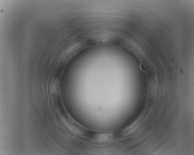 X0000063530126200601271911