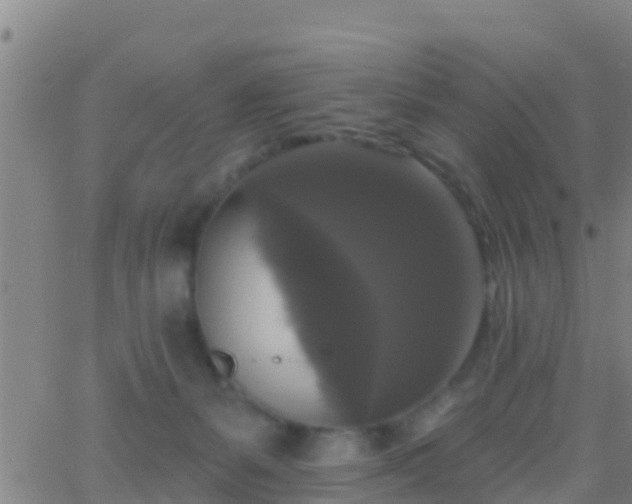 X0000063530127200601271911