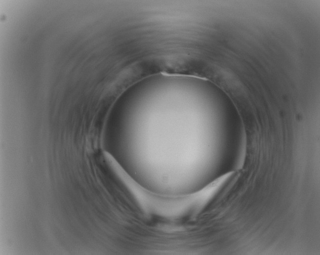 X0000063530129200601271910