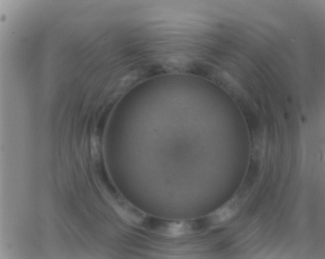 X0000063530130200601271910