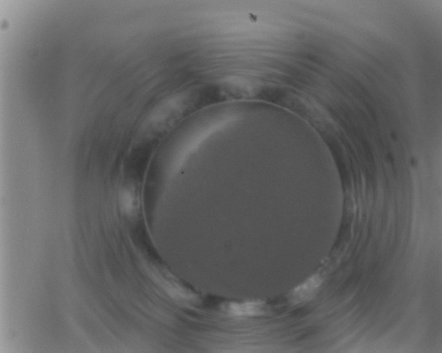 X0000063530134200601271910