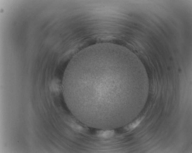 X0000063530135200601271910