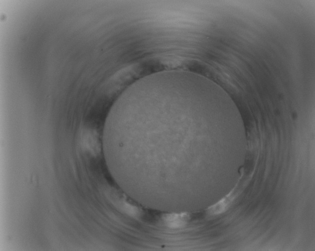 X0000063530136200601271910