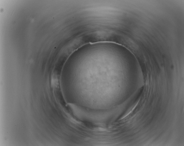 X0000063530137200601271910