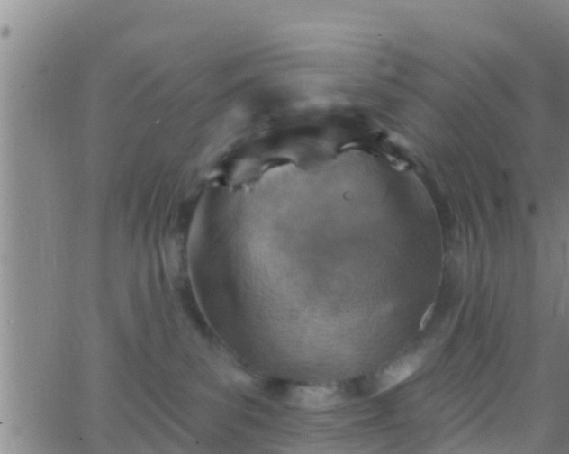 X0000063530139200601271910