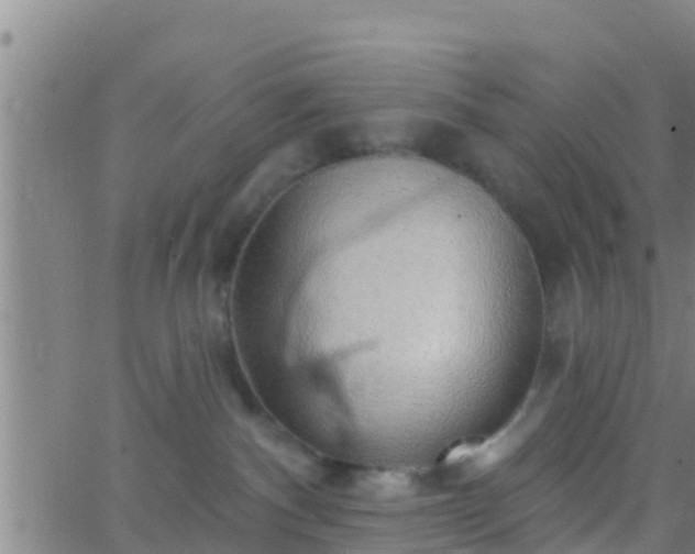 X0000063530140200601271910