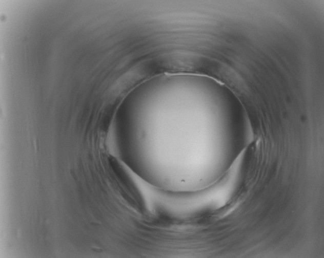 X0000063530141200601271910