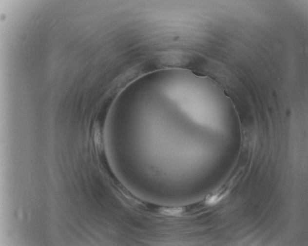 X0000063530143200601271910