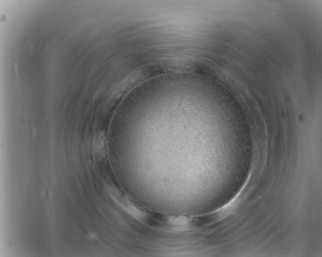 X0000063530144200601271910