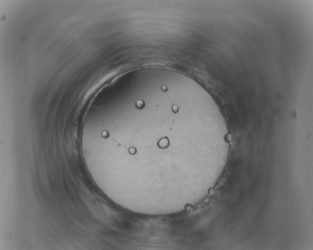 X0000063530146200601271909