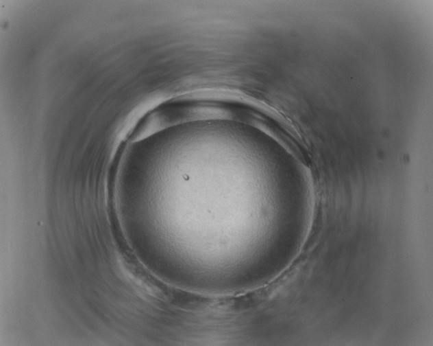 X0000063530148200601271909