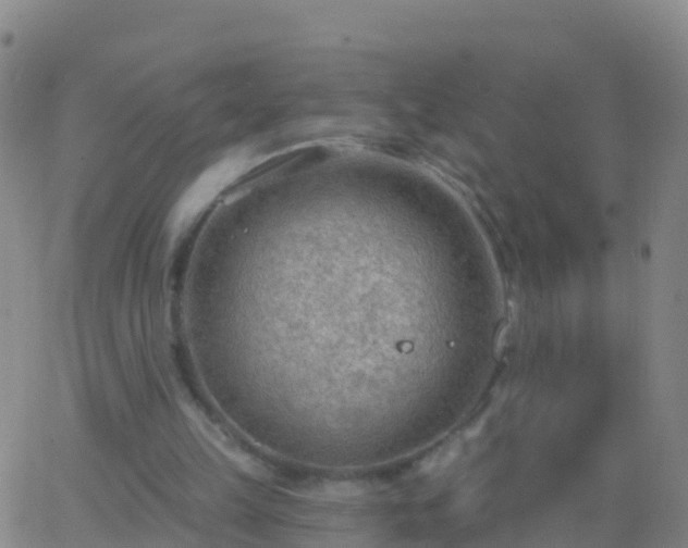 X0000063530149200601271910