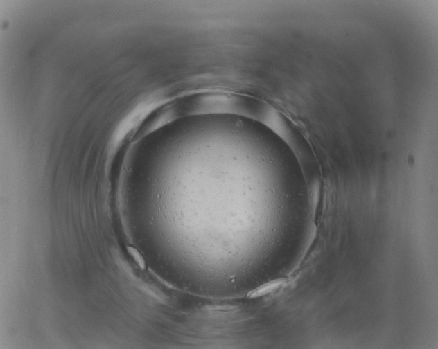 X0000063530150200601271910