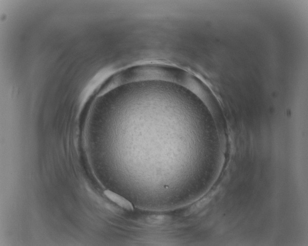 X0000063530152200601271910