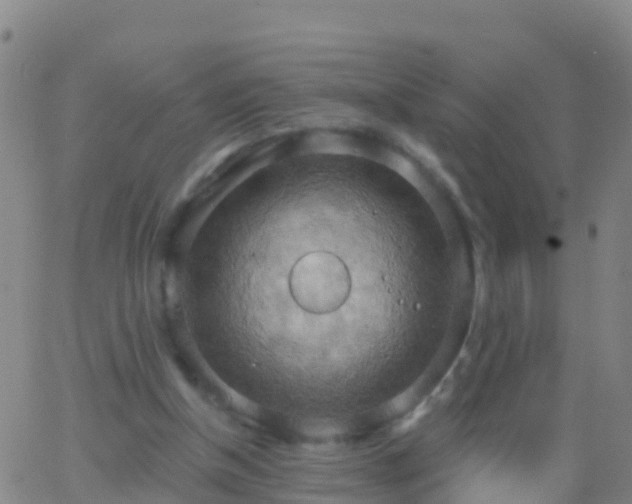 X0000063530154200601271910