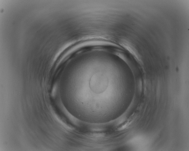 X0000063530156200601271910