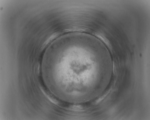 X0000063530157200601271910