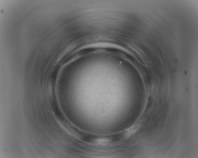 X0000063530158200601271910