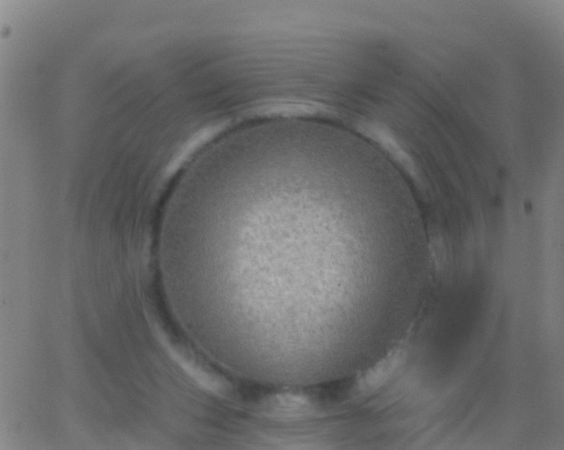 X0000063530159200601271910