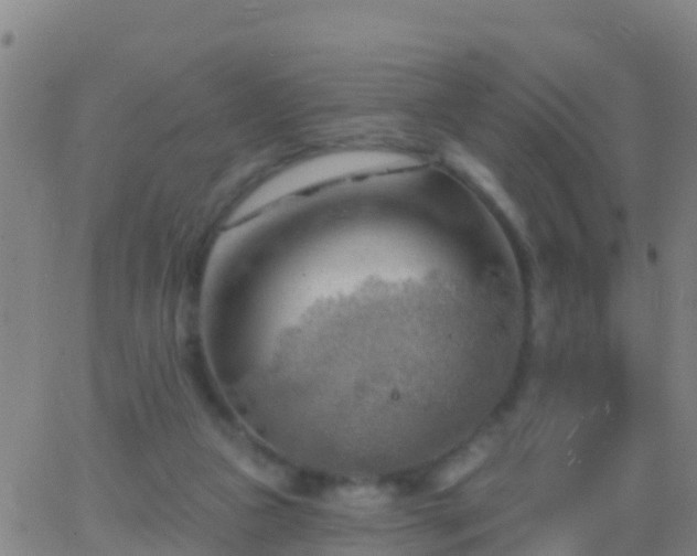 X0000063530161200601271910