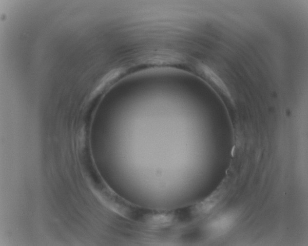 X0000063530163200601271910