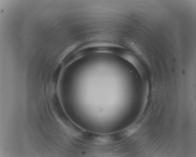 X0000063530164200601271910