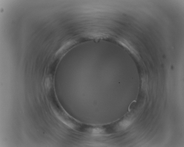 X0000063530165200601271910