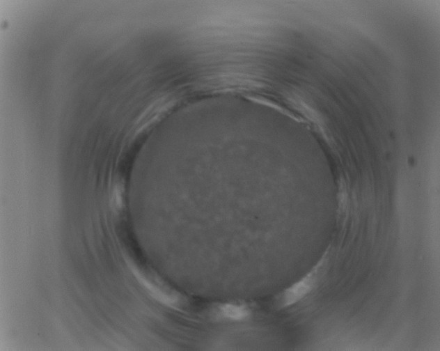 X0000063530166200601271910