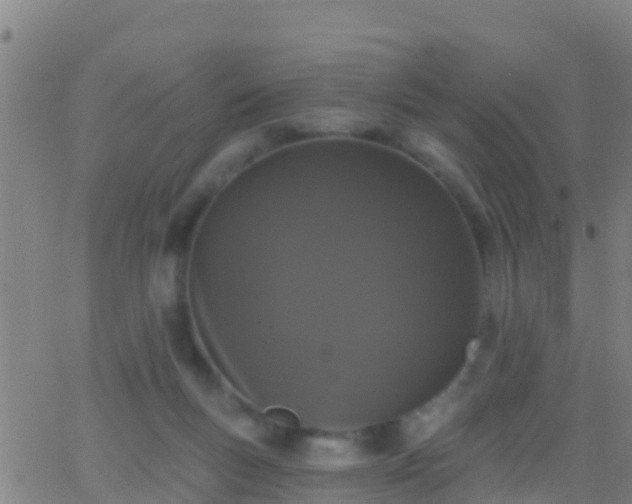 X0000063530167200601271910