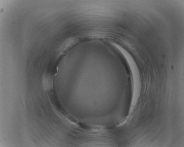 X0000063530168200601271910