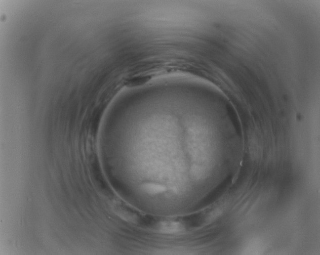 X0000063530169200601271910