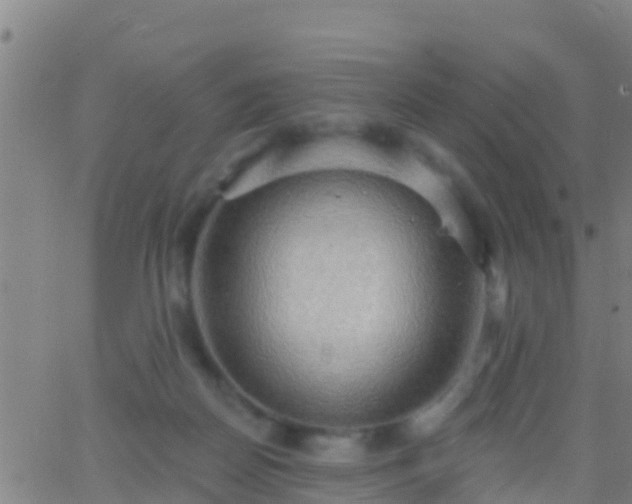 X0000063530170200601271910